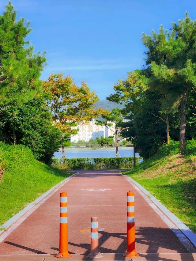부산의 대표적인 철새도래지, 자연환경이 멋진 을숙도