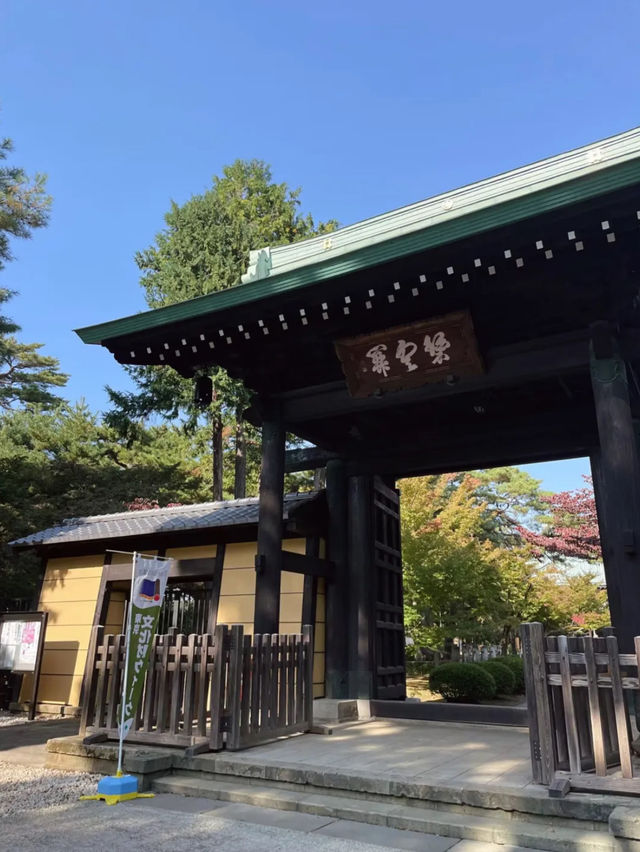 東京的秘密花園：豪德寺與千貓的祝福