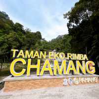 Stunning Chamang Waterfalls Bentong