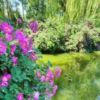英彥山花園：山巒櫻景，山野莊園之旖旎風光