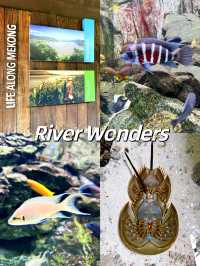 A Family Adventure at River Wonders Singapore
