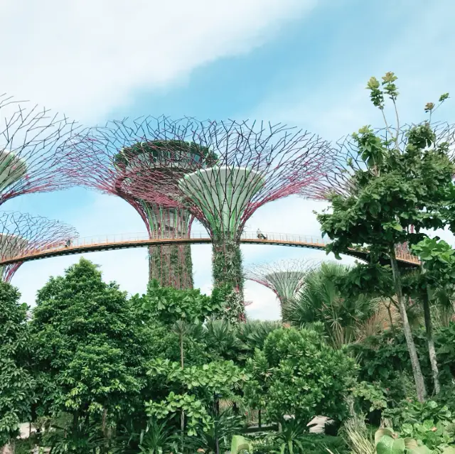 【新加坡】Gardens by the Bay：超級樹、藝術擺設、難忘花園體驗