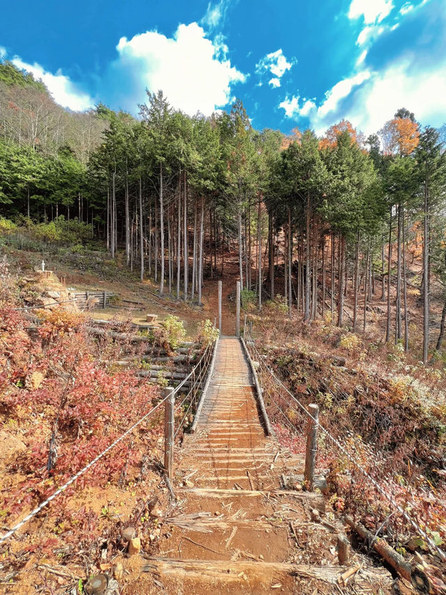 【山梨】神社好きは絶対行くべき🤍その名も天空の鳥居