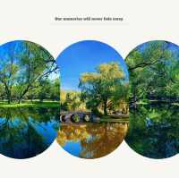 廣州流花湖公園：湖光山色，適合漫步欣賞