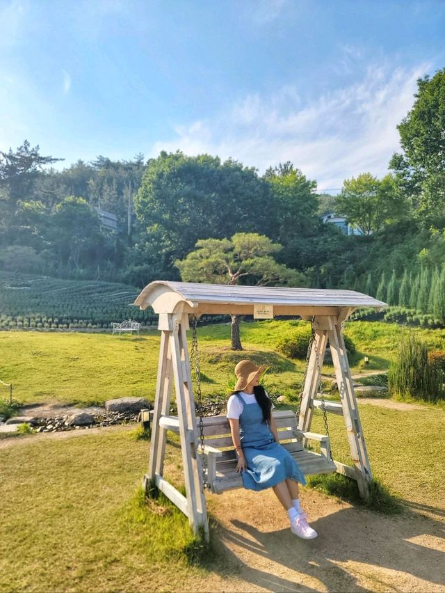 현시각 수국도 라벤더도 다 볼수 있는 양산카페💜
