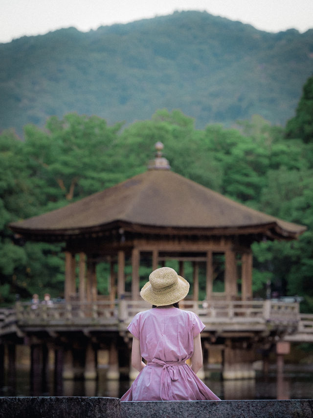 奈良の無料で楽しめる、絶景。知ってますか？