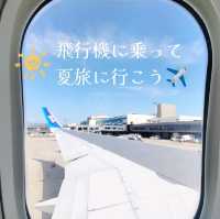 夏旅は東京へ行こう💠伊丹空港から飛行機で行こう