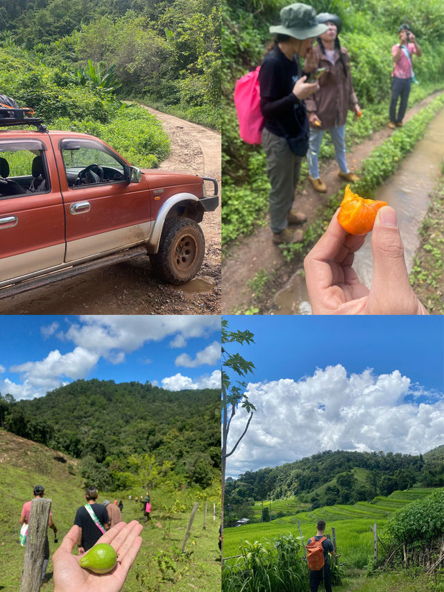ฤดูฝนที่บ้านแม่ตะละ | เชียงใหม่ ⛰️🌧️🌾🌳