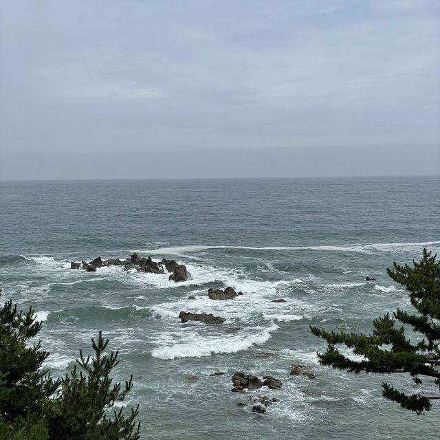 주말 10만원대 양양 호텔 / 감성숙소 추천 / 바다와 산 모두 즐기는 낙산비치호텔 💚