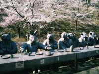 Asago Fine Arts of Mori Art Museum