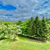 Nature Meets Art in Sapporo