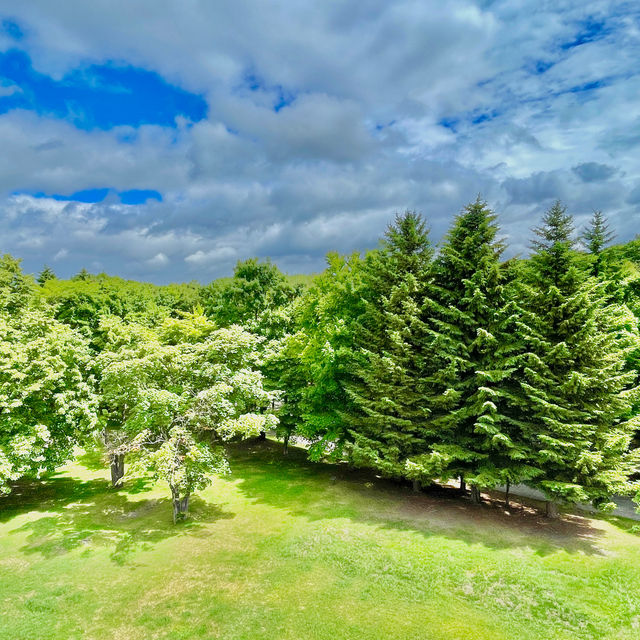 Nature Meets Art in Sapporo