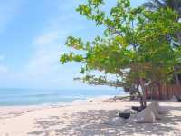 Sea Circle คาเฟ่สวยริมหาดสิชล