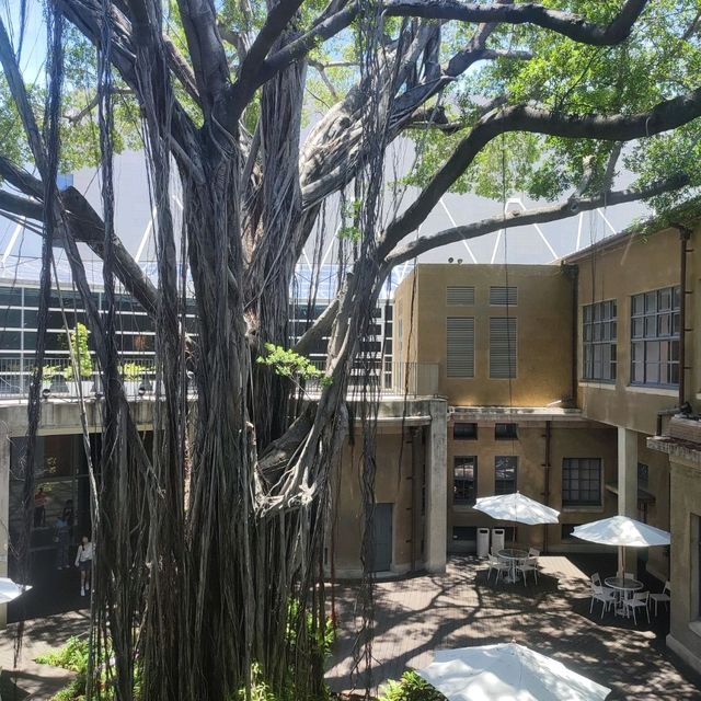中國台灣台南市美術館1館深深瞭會哲學心理藝術