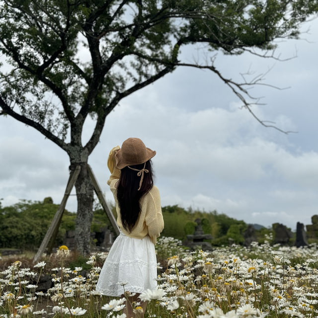 방대한 규모로 갤러리,박물관,산책로,다양한 포토존 등등 볼거리가 무척이나 많은 곳이에요 ✨