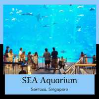 A Splashing Good Time at SEA Aquarium Sentosa