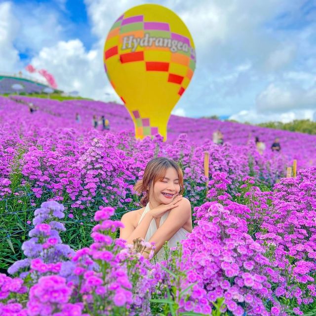 สวนดอกไม้ยอดฮิต "เขาค้อ"