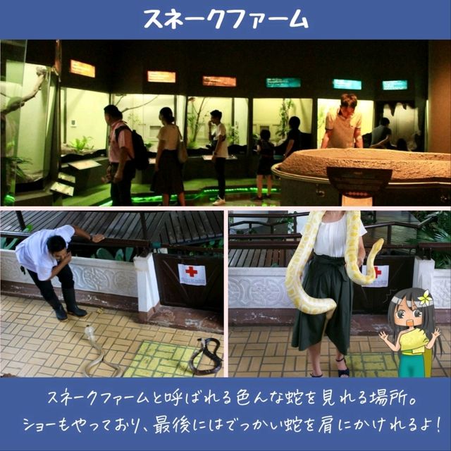 【バンコク】暑い日はここに行こう！