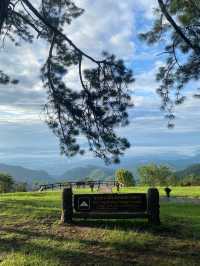 ม่อนสน | เชียงใหม่ 🏕️🌧️⛰️🐶