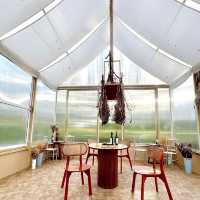 ห้องพักสไตล์แคมป์ปิ้ง 🌳 SOL Glamping Khaoyai