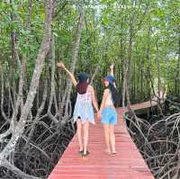 ที่เที่ยวเกาะช้างเลี้ยวซ้าย ป่าชายเลนสลักเพชร ตราด