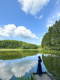  【奈良】奈良のウユニ塩湖👀？？絶景スポット：龍王ヶ渕