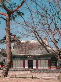 Discover the Majesty of Gyeongbokgung Palace 🇰🇷🏯