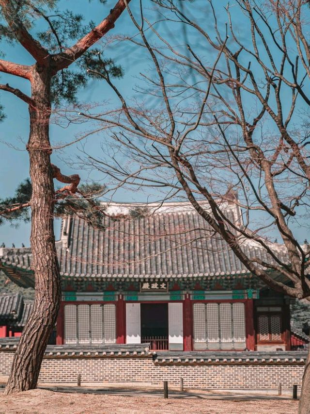 Discover the Majesty of Gyeongbokgung Palace 🇰🇷🏯