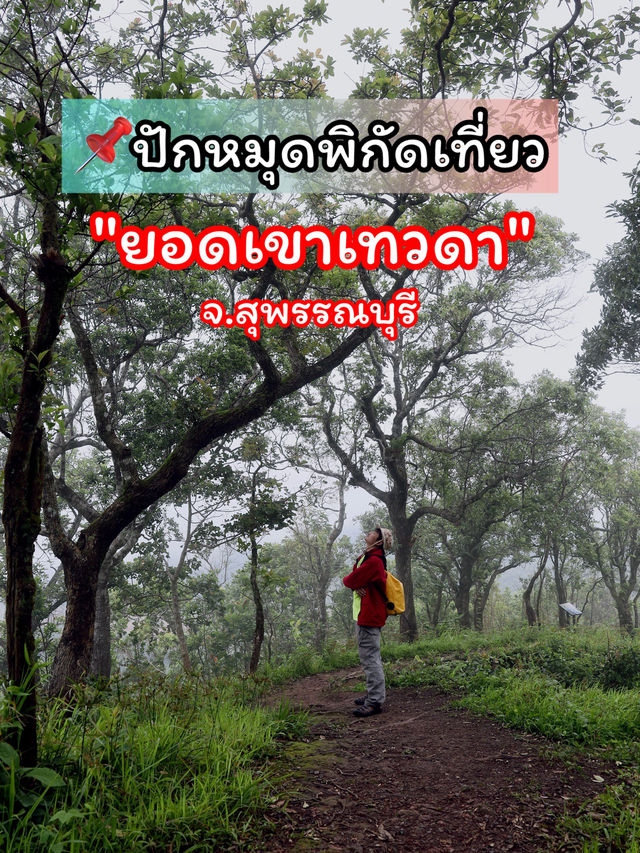🍃"ยอดเขาเทวดา" ยอดเขาที่สูงที่สุดของจังหวัดสุพรรณ