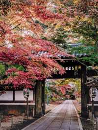 【東漸寺】千葉県・松戸市