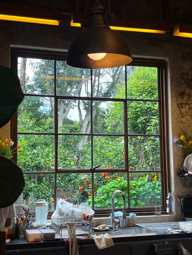 🍊 제주도 서귀포 카페 귤꽃다락 귤밭포토존😇