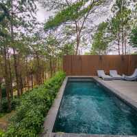 ที่พักบนดขาค้อ ที่อยู่ท่ามกลางป่าสน