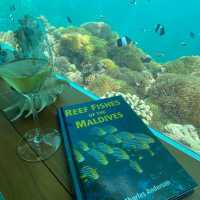 Savoring the Depths of Luxury: Anantara Kihavah Maldives Villa's Underwater Lunch