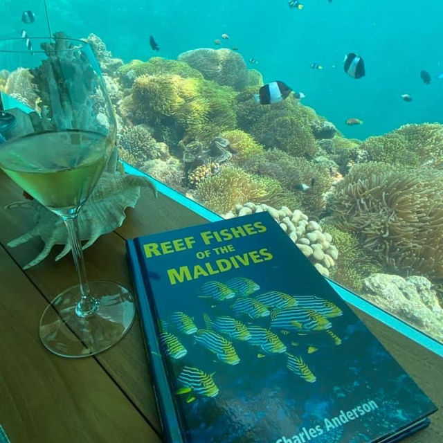 Savoring the Depths of Luxury: Anantara Kihavah Maldives Villa's Underwater Lunch