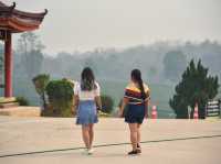 จิบชา ถ่ายรูป ฟิลสีเขียว ไร่ชาฉุยฟง