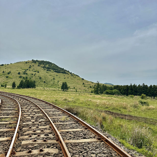 제주여행🏝️ 레일바이크 타고 제주 오름 경관 즐기기🛤️