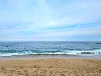 속초여행 필수코스! 🏖속초해수욕장💙🩵💙🩵