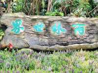廈門園林植物園
