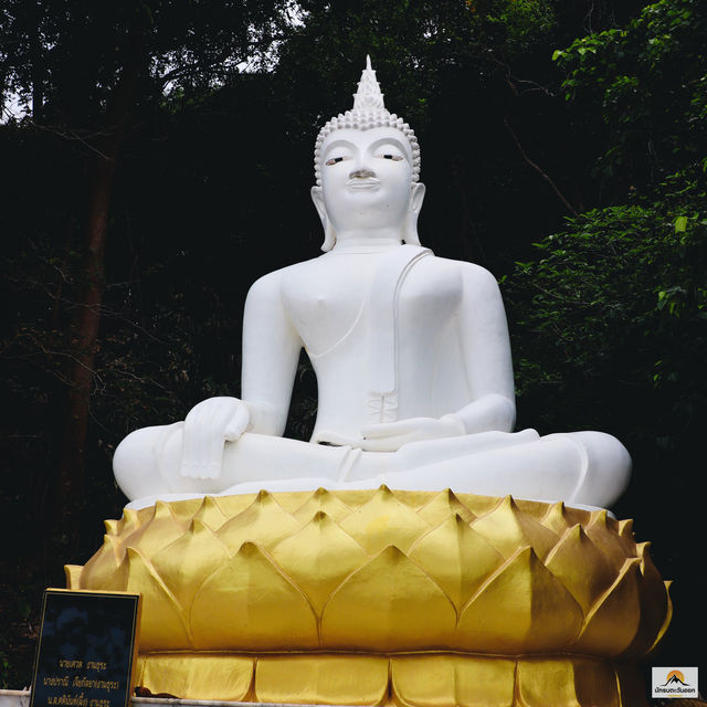 เกาะพิทักษ์