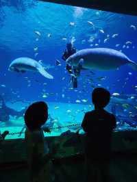 【長隆飛船樂園】全球最大室內主題樂園，微信小程序安排行程