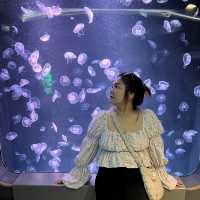 🪼อควาเรียมบางแสน 🐟ศูนย์เรียนรู้โลกใต้ทะเล🐡