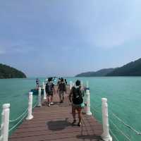 ดำน้ำดูปะการัง หมู่เกาะสุรินทร์@พังงา