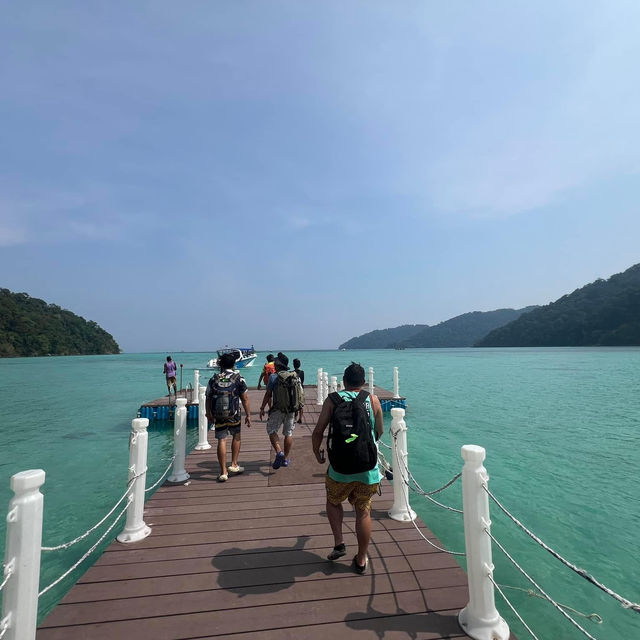 ดำน้ำดูปะการัง หมู่เกาะสุรินทร์@พังงา