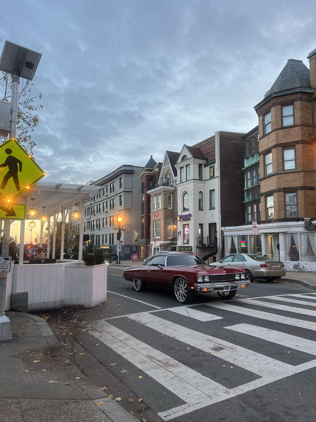  Exploring Washington DC on Foot: A Scenic Walkthrough 🇺🇸