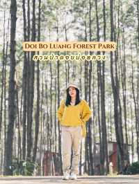 สวนป่าดอยบ่อหลวง อ.ฮอด Chiangmai
