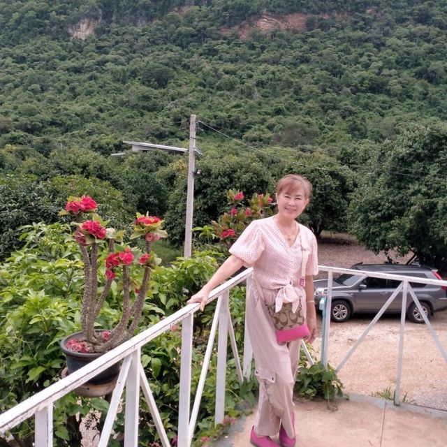 หุบป่าตาด   