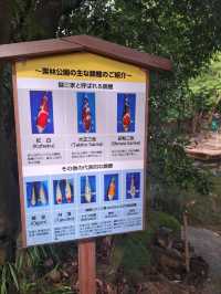 【香川・高松】栗林公園で日本の夏を堪能♪