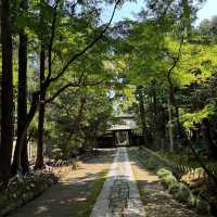 善德寺🏛️古雅寧靜