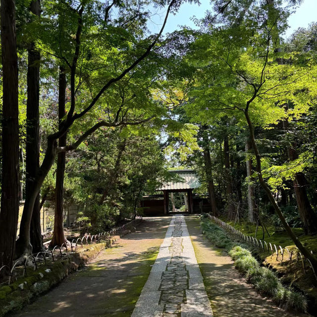 善德寺🏛️古雅寧靜