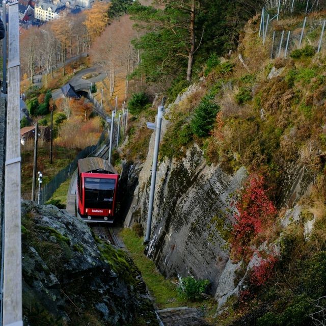 挪威峽灣城市Bergen
